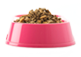 Snack Food