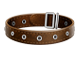 Pet Belt