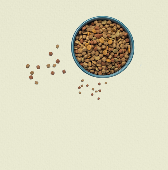  Pets Food In The Store