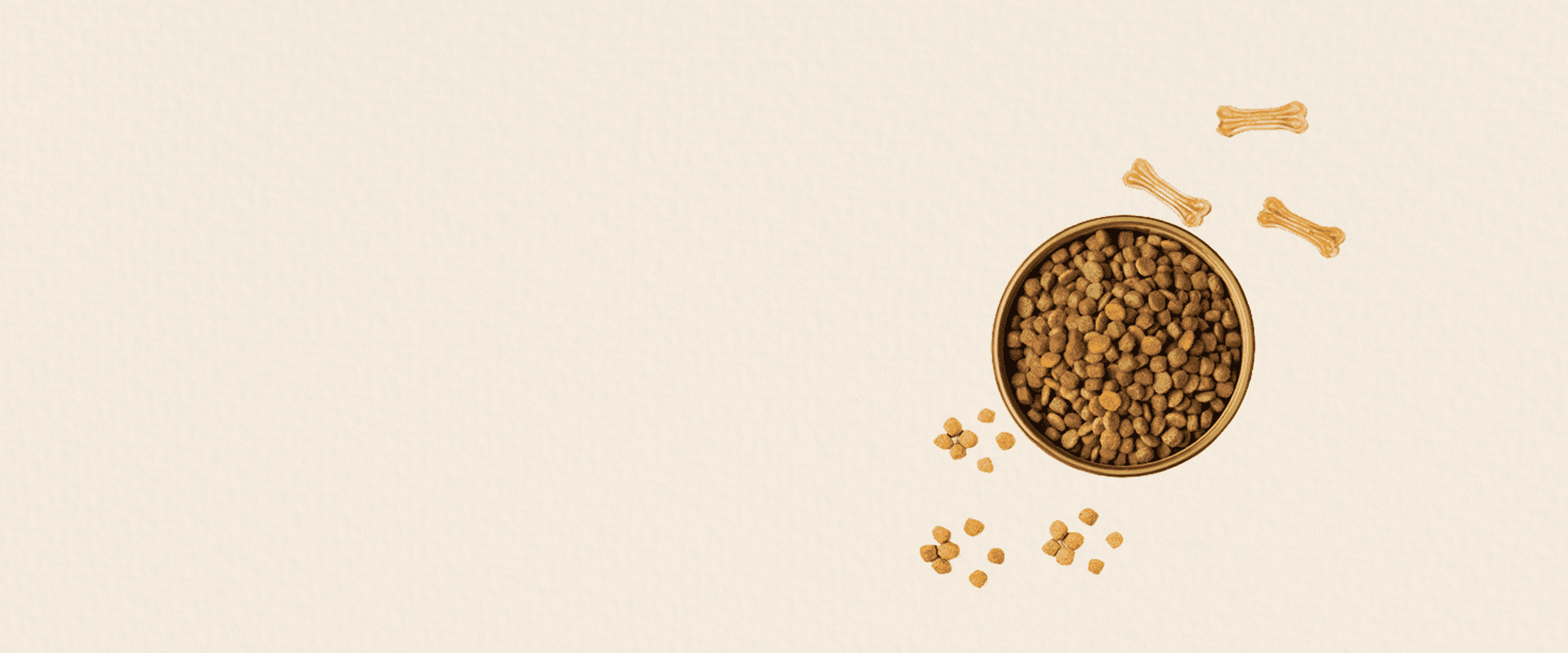 Bettet Steps For Pets Care